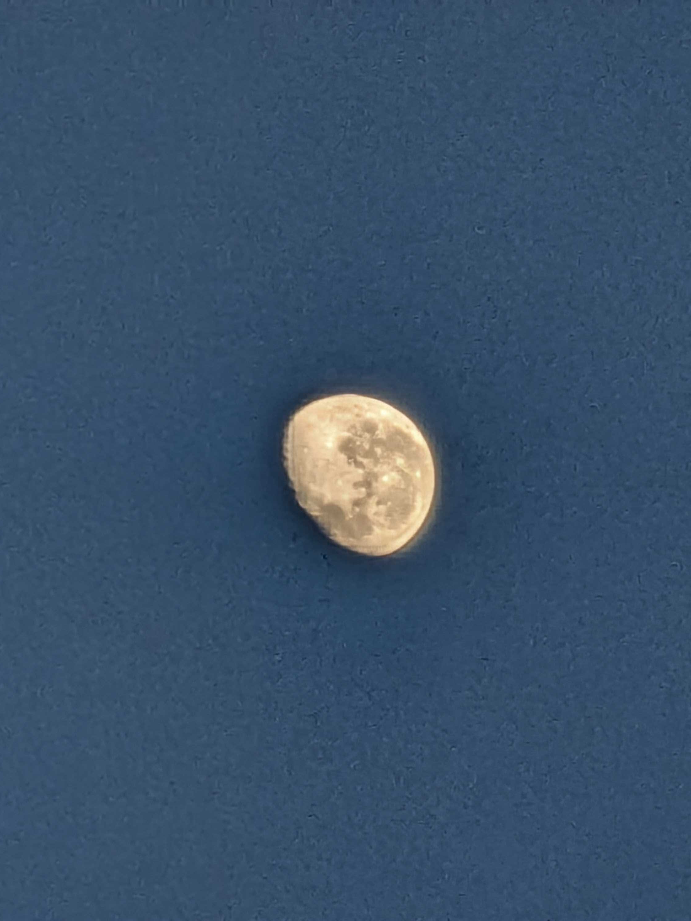 Image with corrected horizon