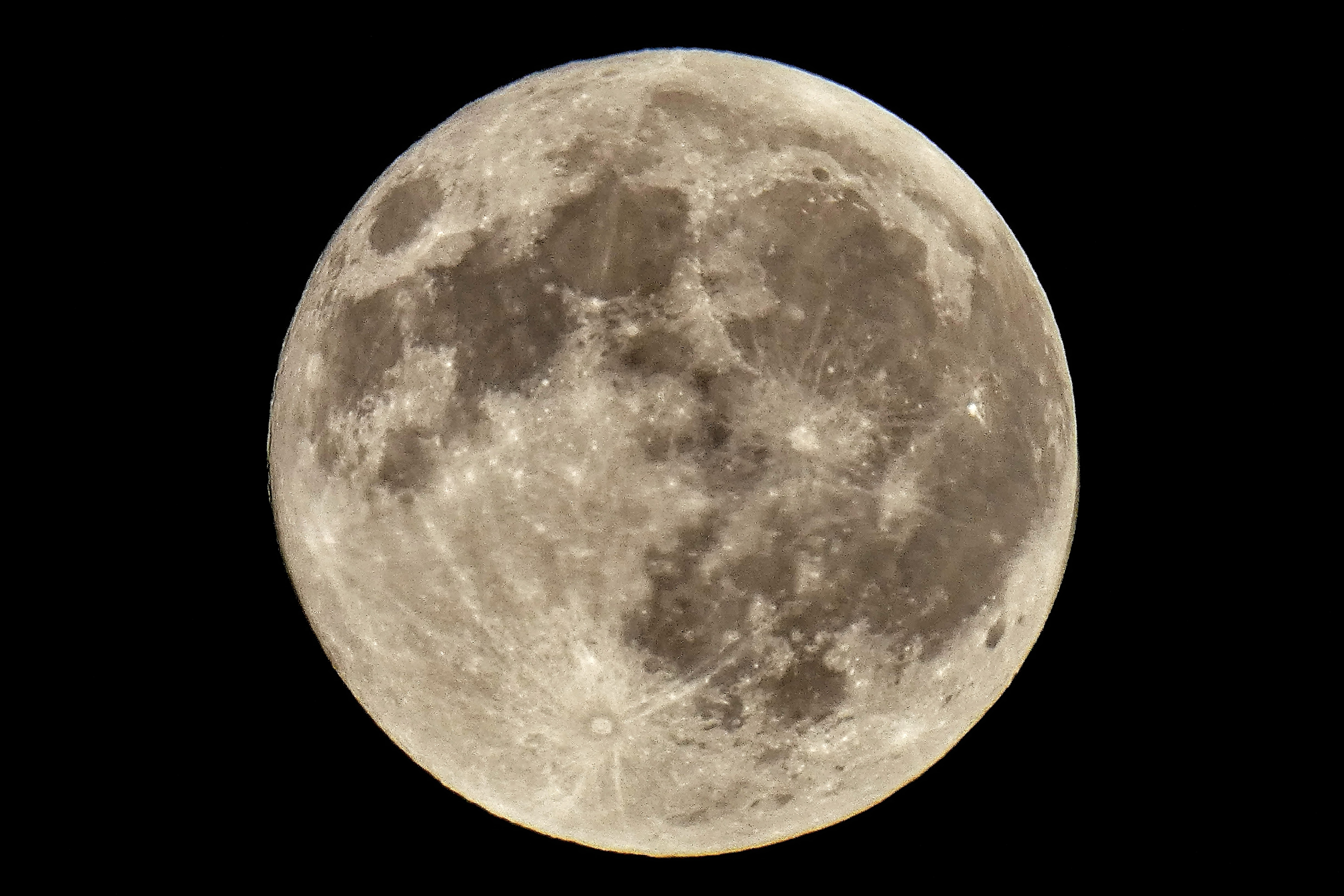 Horizontally flipped image