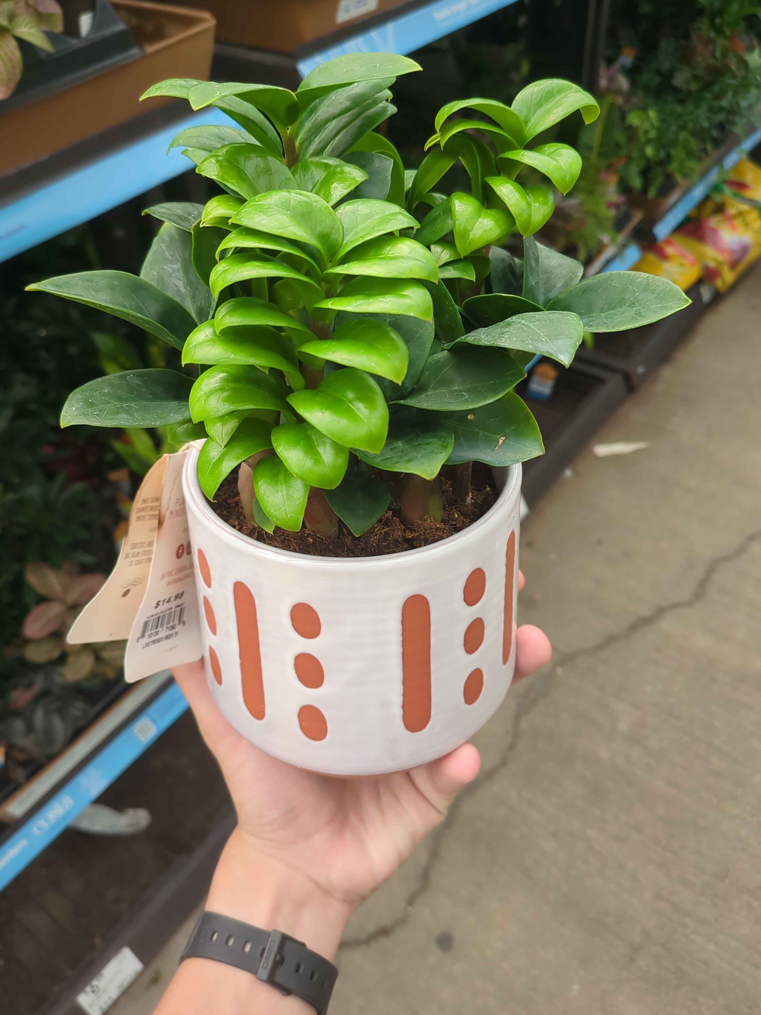 Underexposed original image