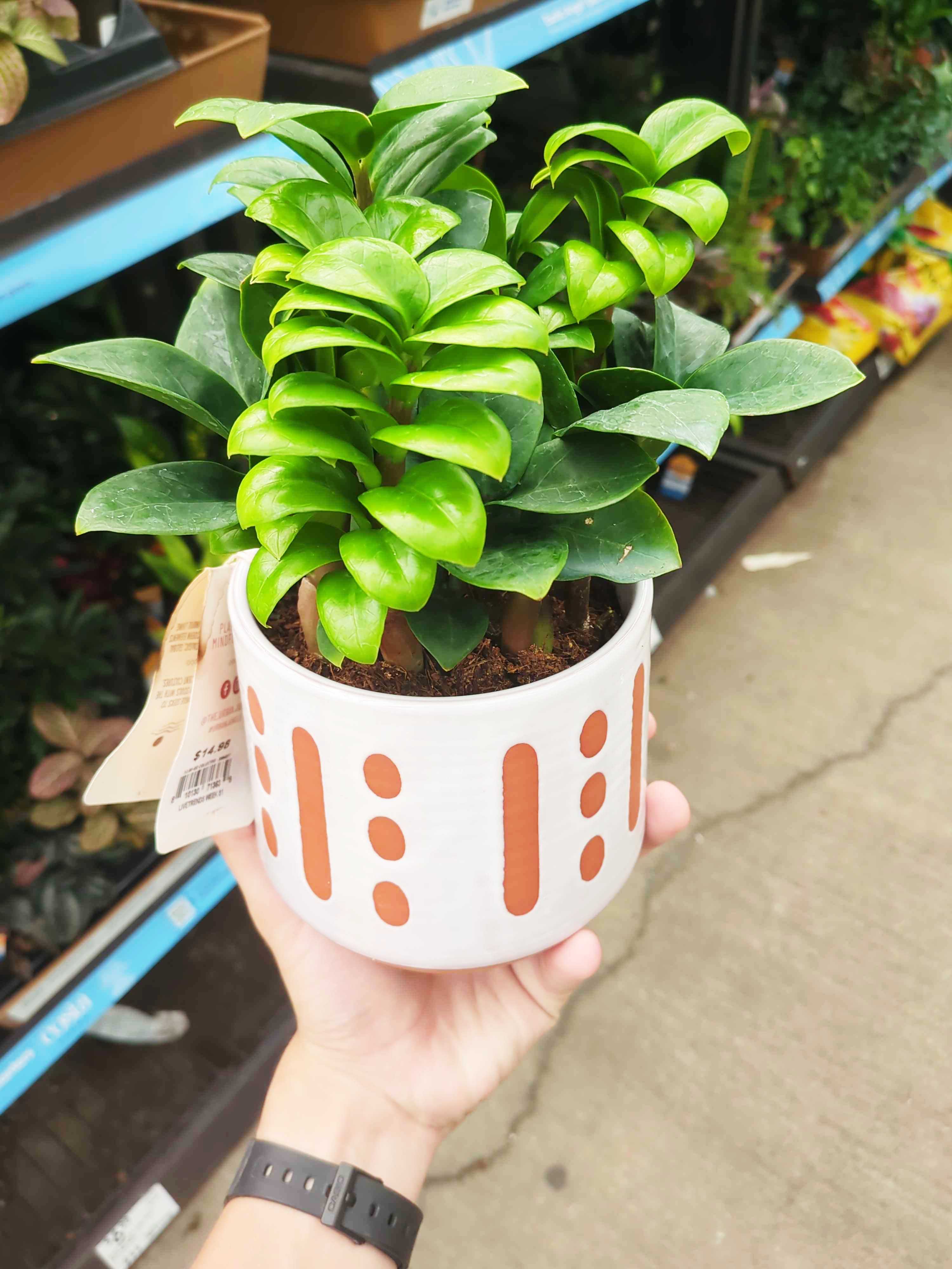 Brightened image with improved contrast